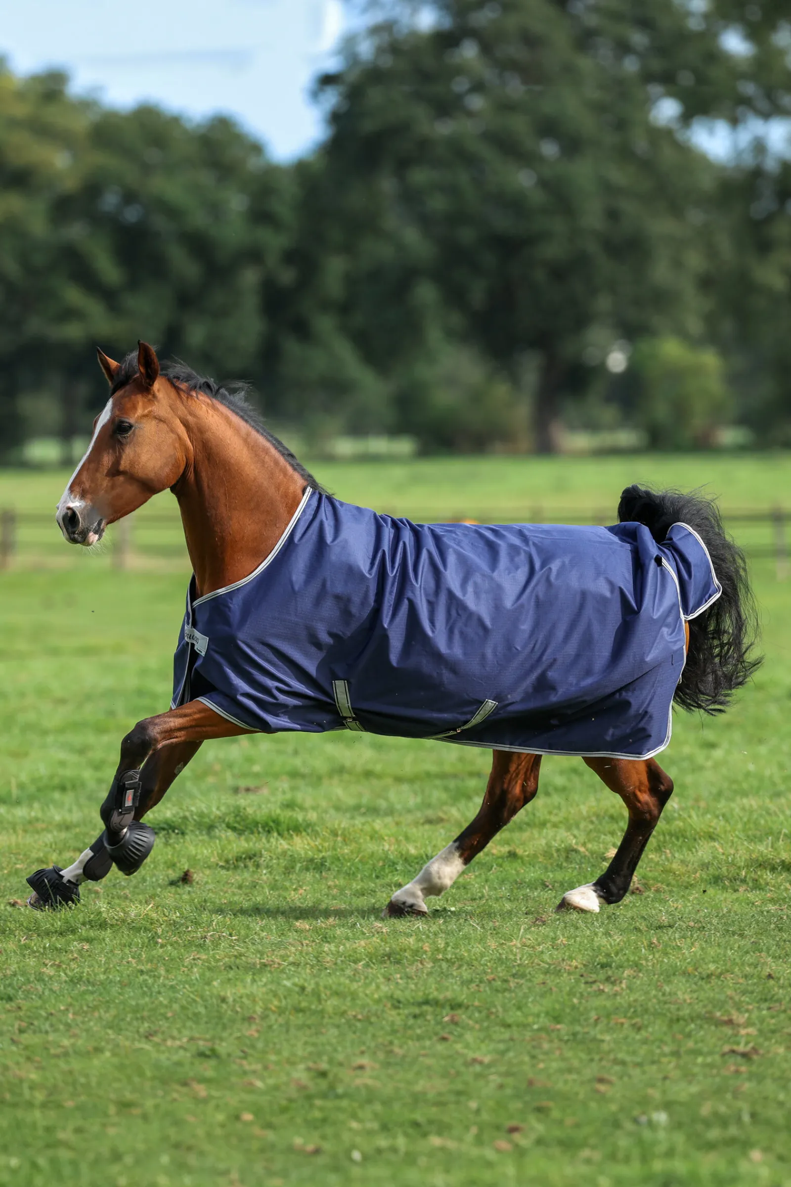 Online Freedom lett utedekken for ponni, 0g Ponnidekken|Ponnidekken