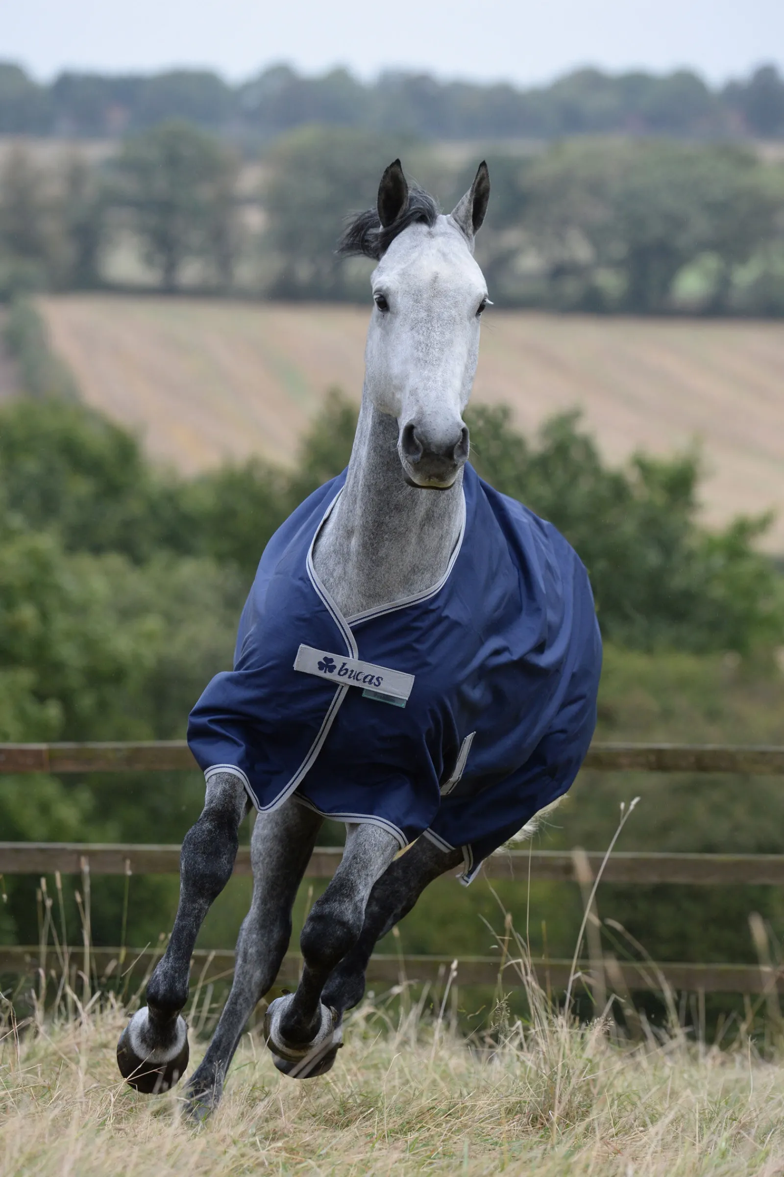 Outlet Freedom Utedekken, 150g Overgangsdekken & Vinterdekken