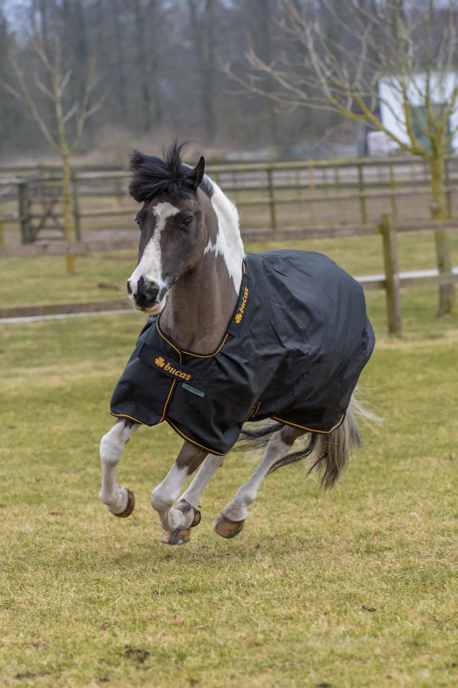 Best Irish Pony utedekken, 50g Ponnidekken|Ponnidekken
