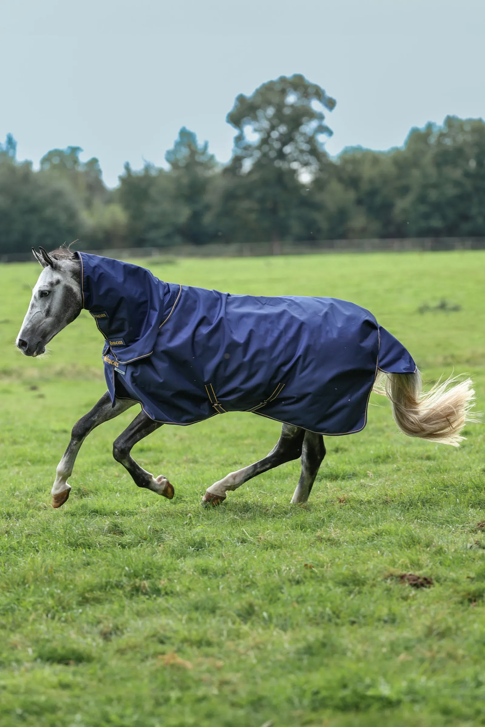 New Irish Turnout halestykke, 0g Hals Til Dekken