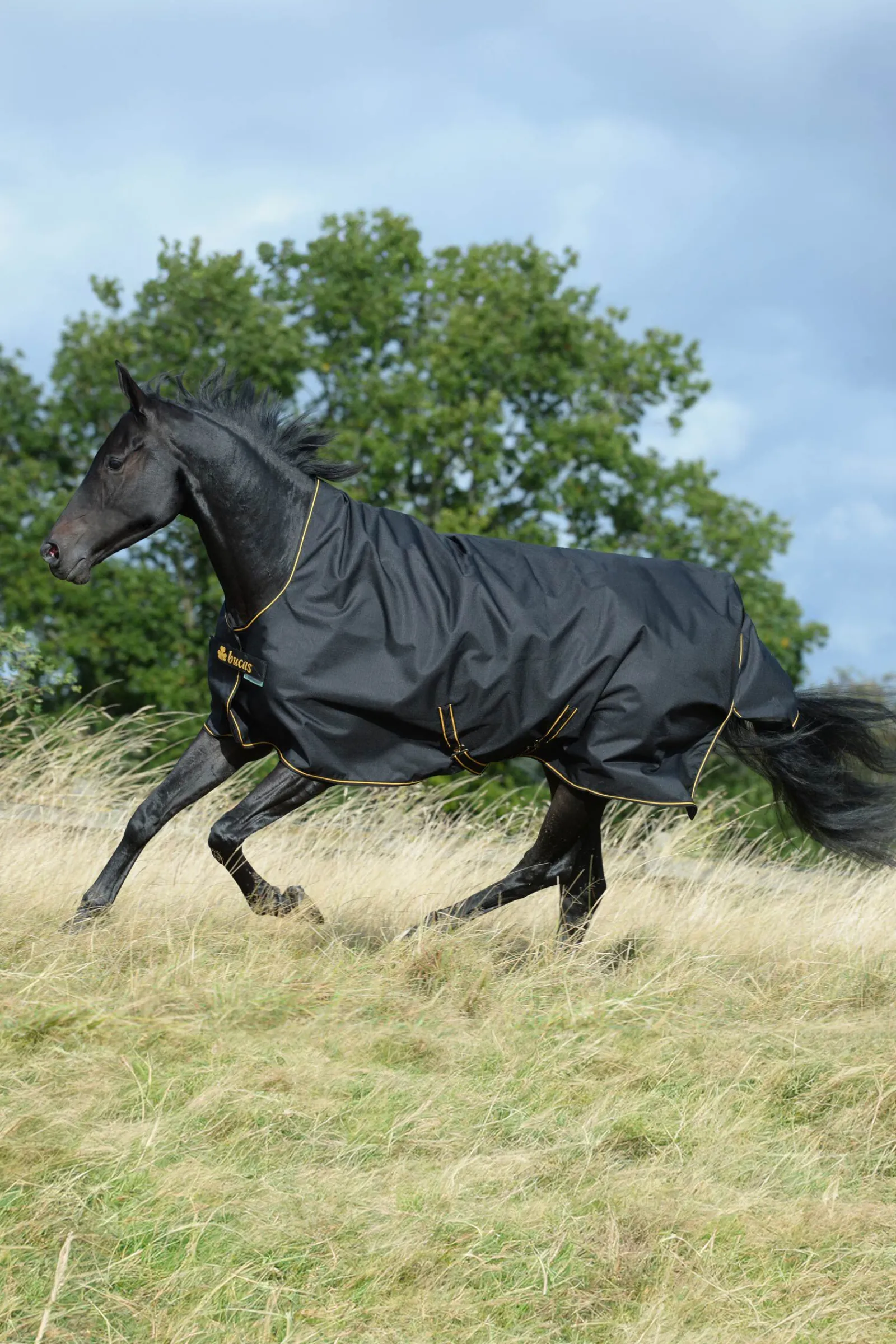 Hot Irish utedekken med høy hals, 50g Regndekken