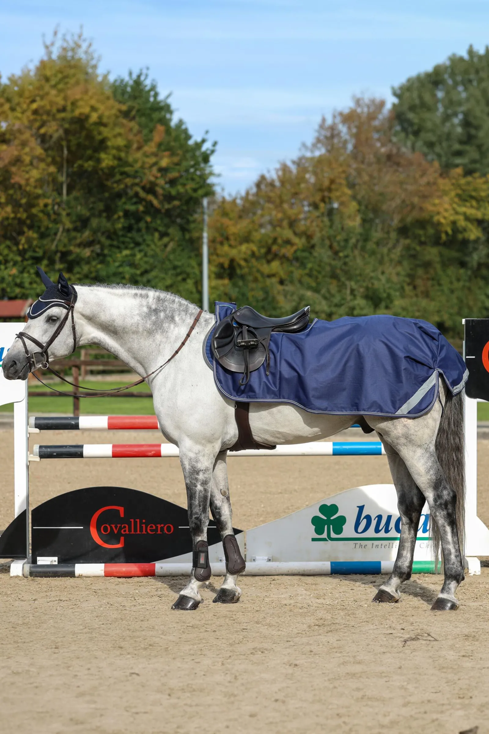 Outlet Lendedekken Ridedekken Og Walkerdekken