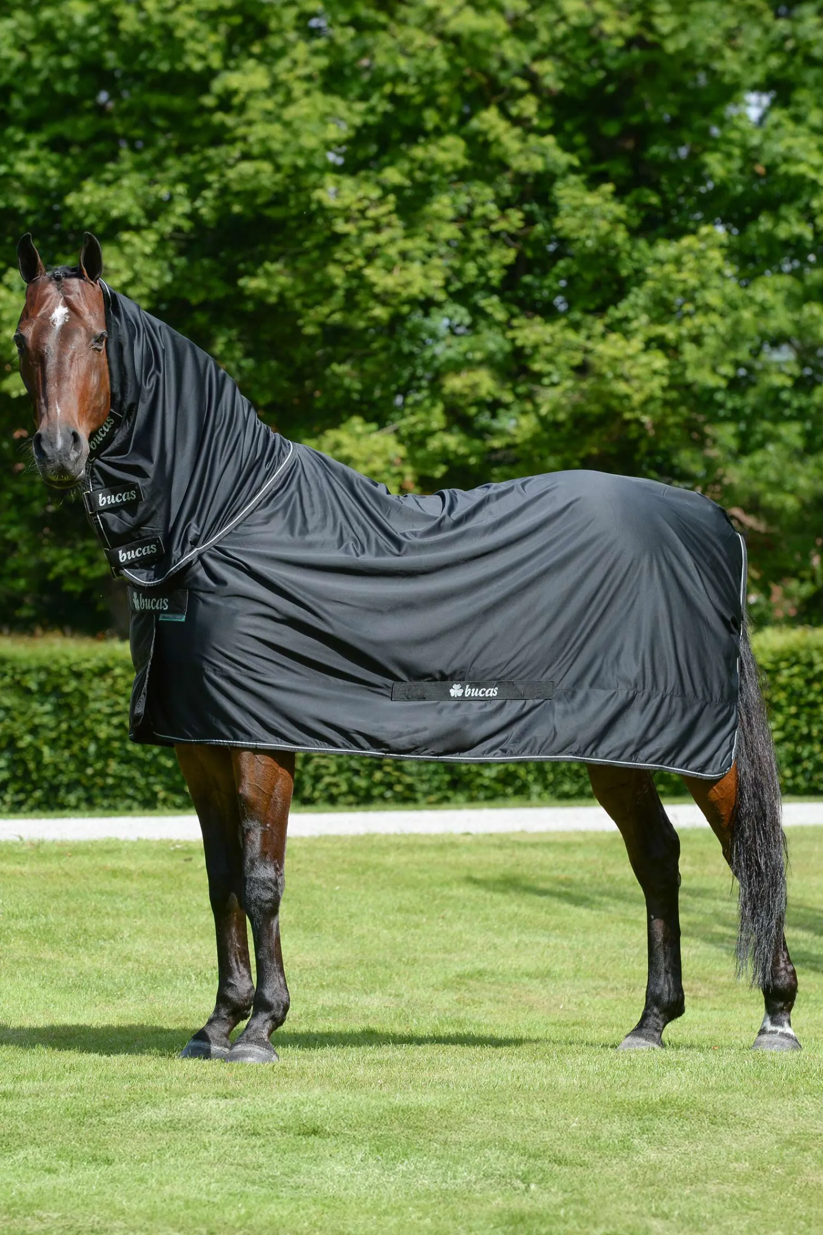 New Shamrock Power dekken med hals Ulldekken Og Svettedekken