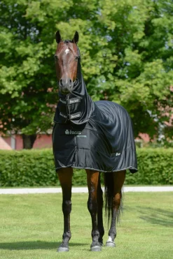 New Shamrock Power dekken med hals Ulldekken Og Svettedekken