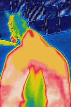 Best Therapy cooler-dekken, 0 g Terapidekken