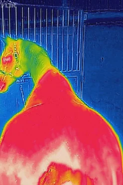 Hot Therapy Mesh Cooler-dekken Terapidekken