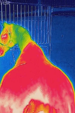 New Therapy utedekken lett, 50g Terapidekken