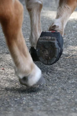 Cavallo Hoof Boots F.R.A. CLB boots (vanlig/par) Boots Til Hest