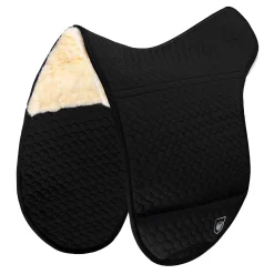 Sale innlegg til sjabrak SD Champ Saler