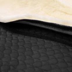 SD Champ til Iberica Plus Saler