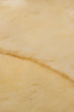 Best Shabrack Spesial D Dressursjabraker