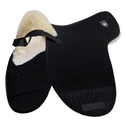 Best Voilock Champ S Ponni Sjabrak|Allround- Og Sprangsjabraker