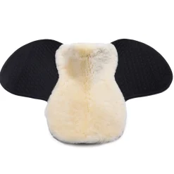 Best Voilock Champ S Ponni Sjabrak|Allround- Og Sprangsjabraker