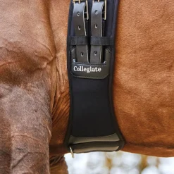 New Memory Foam, dressurgjord Gjorder