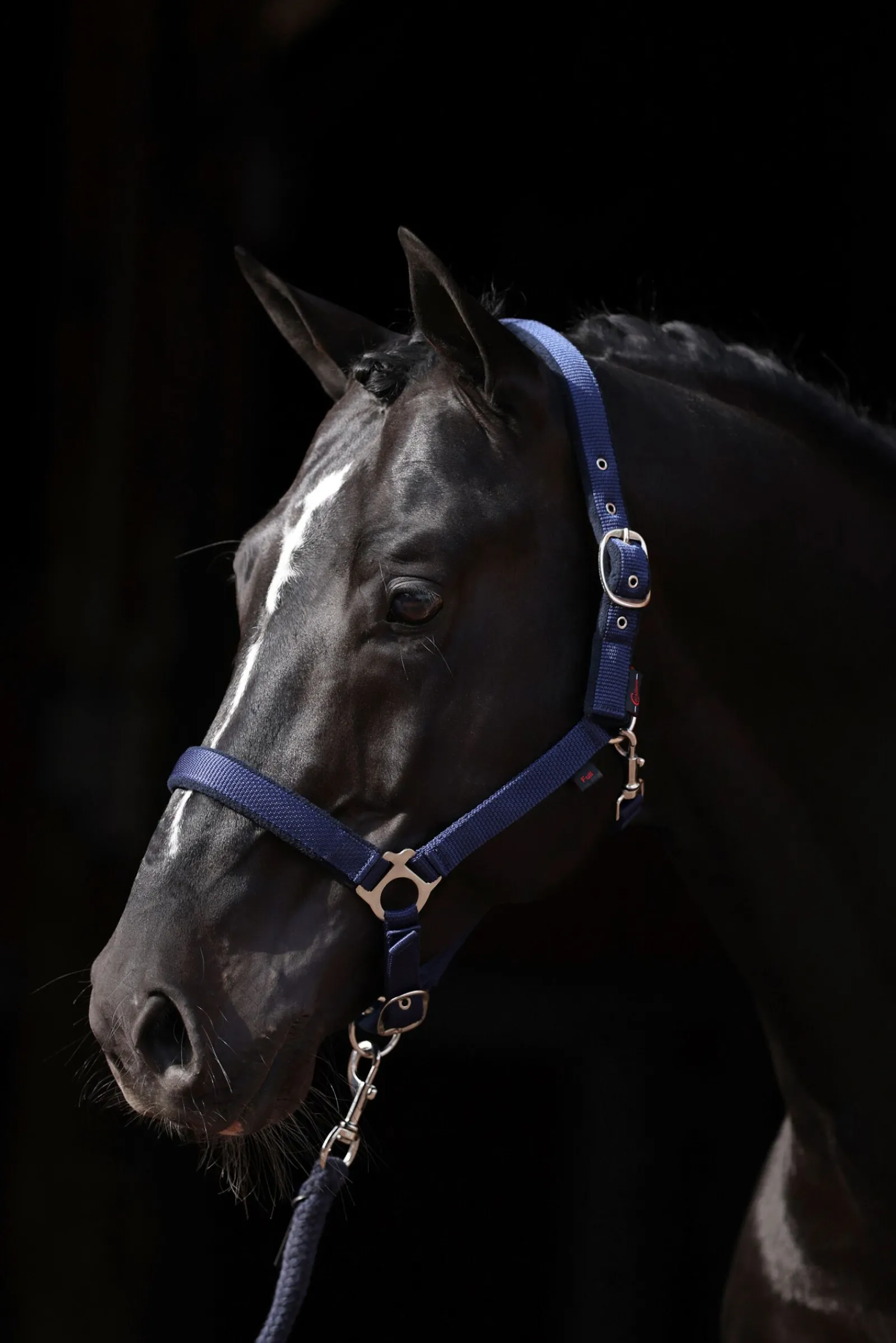 Online Dexter grime med fleecefôring Grimer