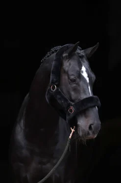 Online SuperSoft grime Grimer