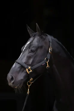 Outlet TopLine grime Grimer