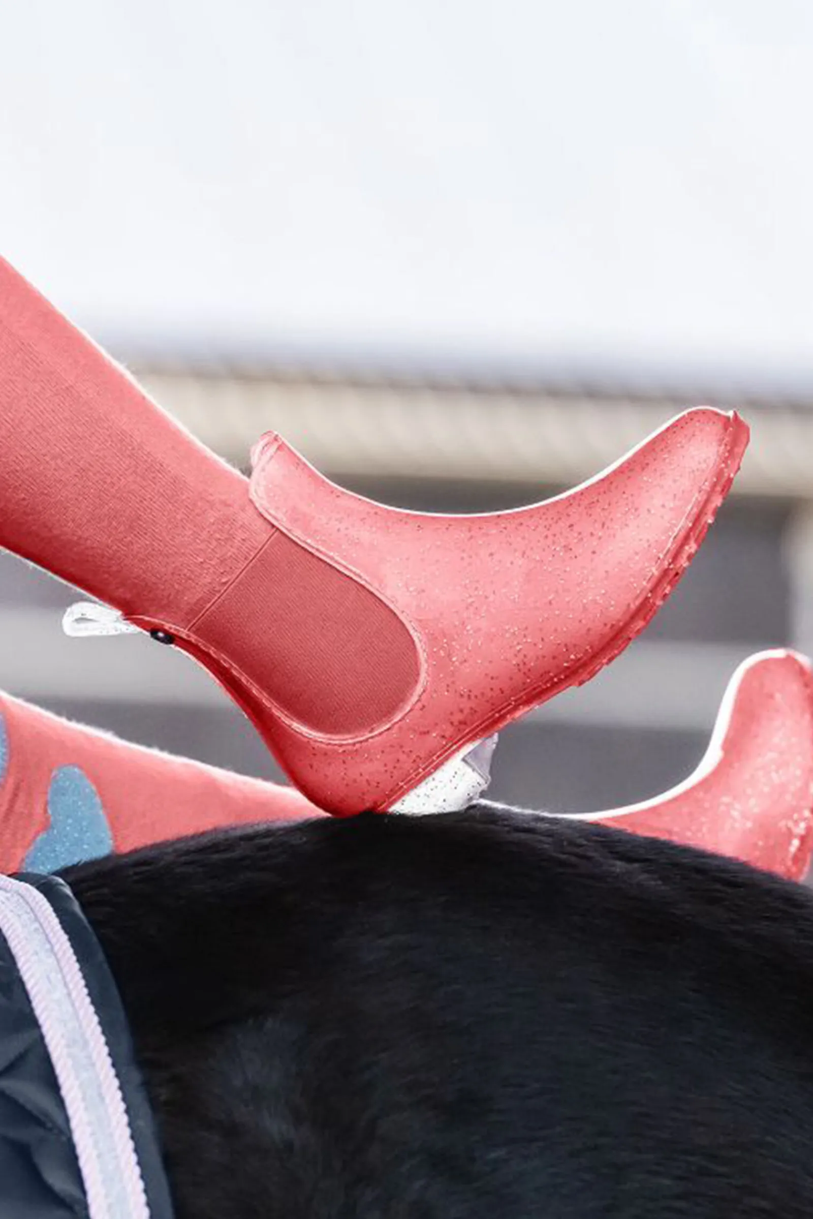 Online ELT Sparkle Jodhpurstøvler Ridesko Og Jodphurs