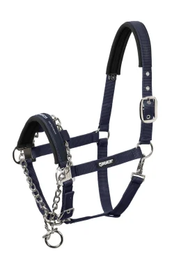 Online Control grime Grimer