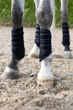 Online senebelegg med fuskebelegg Belegg Til Hest