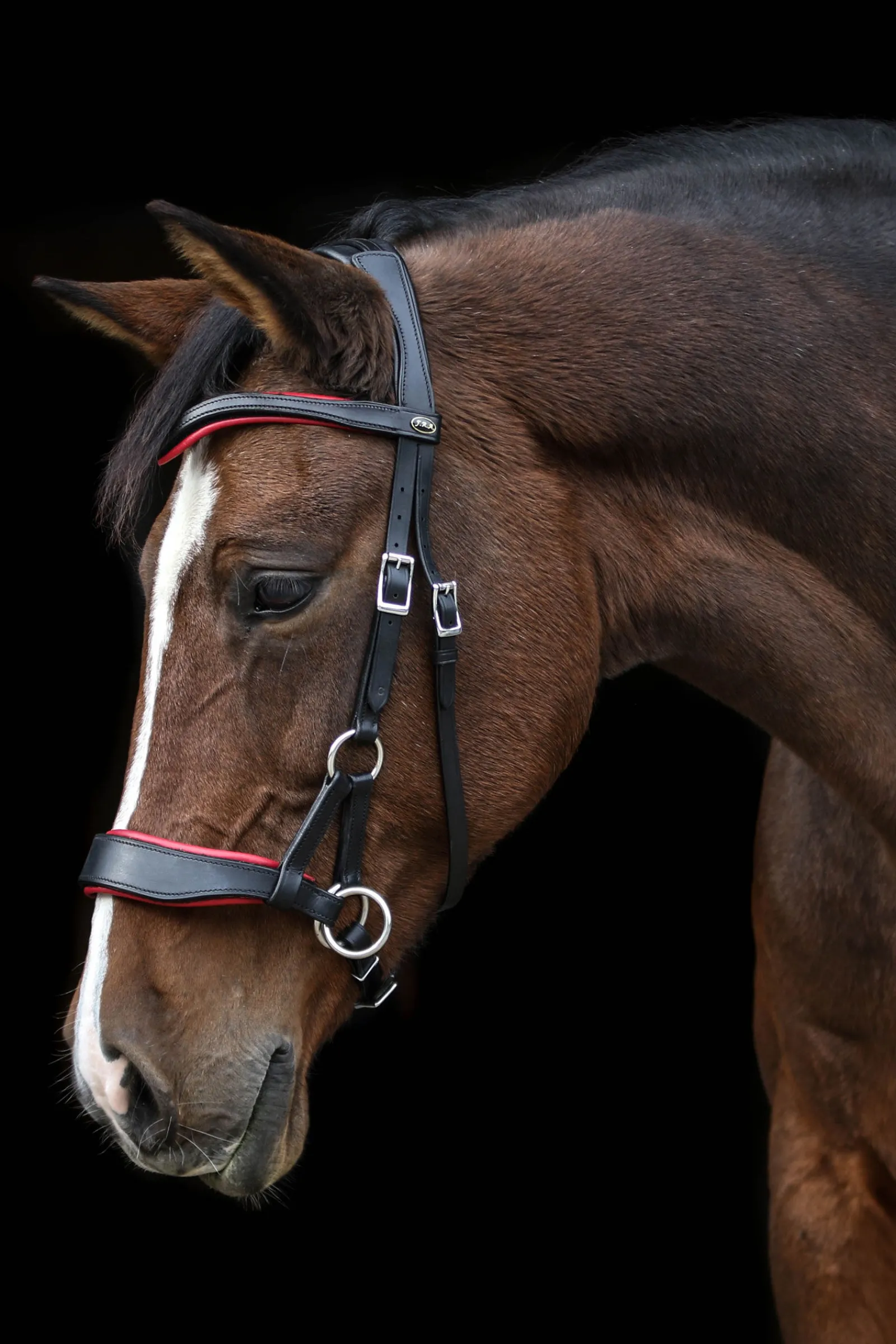 Online F.R.A. Freedom Riding Articles Aruba bittløst hodelag med tøyler (system 3) Hodelag & Nesereimer