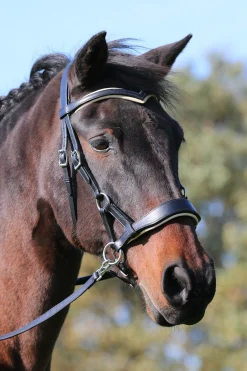 Online F.R.A. Freedom Riding Articles Aruba bittløst hodelag med tøyler (system 3) Hodelag & Nesereimer