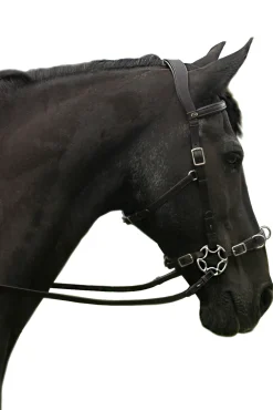 Sale F.R.A. Freedom Riding Articles Caval komplett cavemore hodelag (system 2) i engelsk lær, shire Hodelag & Nesereimer