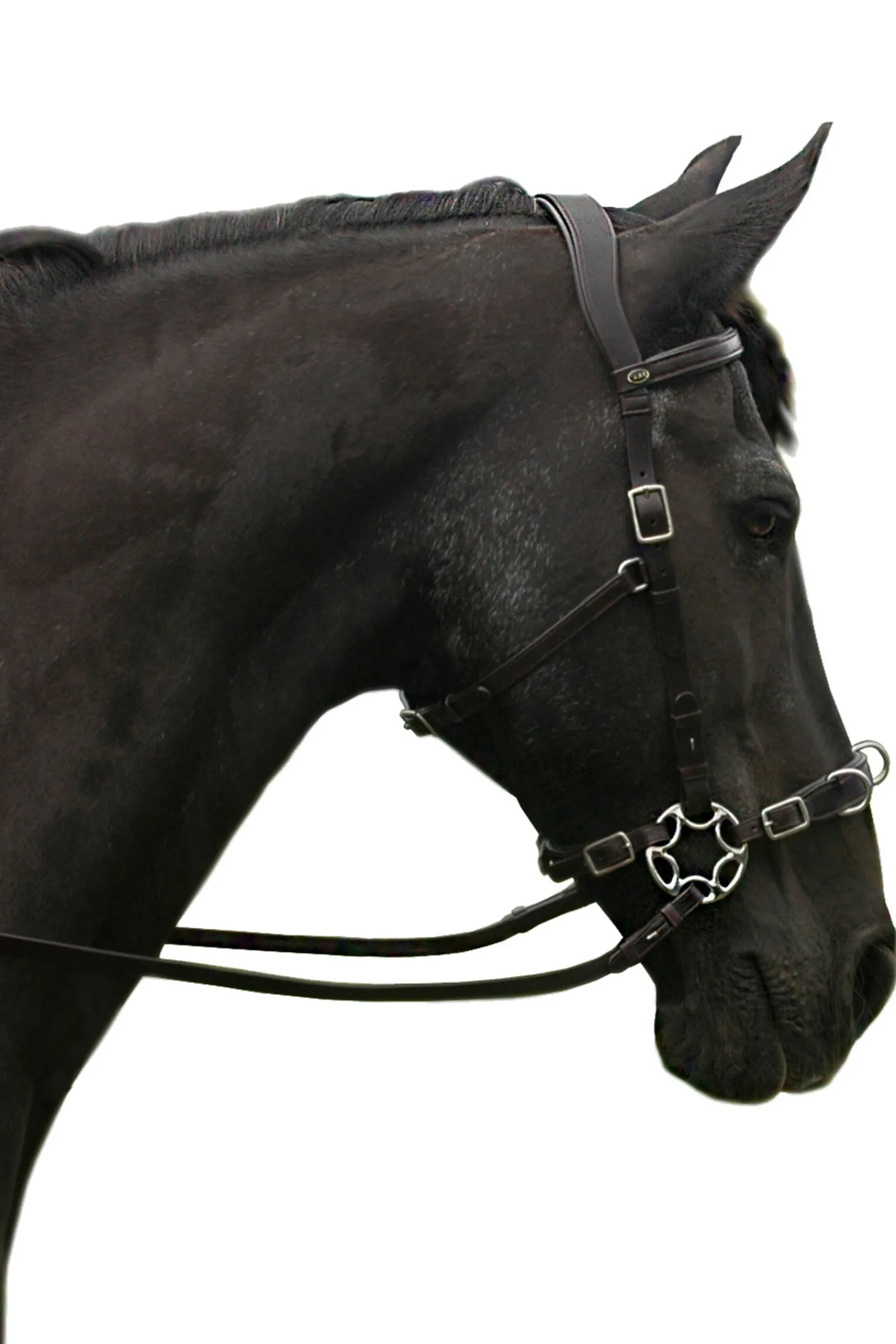 Sale F.R.A. Freedom Riding Articles Caval komplett cavemore hodelag (system 2) i engelsk lær, shire Hodelag & Nesereimer