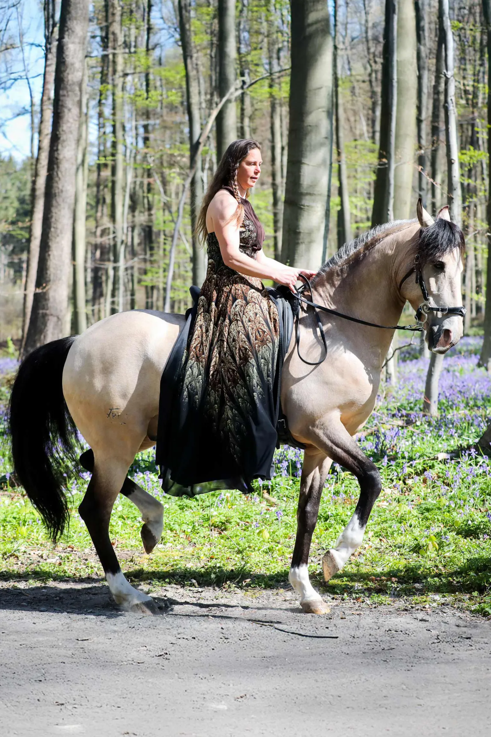 New F.R.A. Freedom Riding Articles Imperial hodelag hackamore med tøyler (system 2) Hodelag & Nesereimer