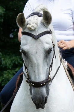 New F.R.A. Freedom Riding Articles Glory hodelag Hackamore med tøyler (system 2), brun Hackamores|Hodelag & Nesereimer