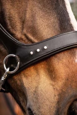 Sale F.R.A. Freedom Riding Articles Glory sidepull med tøyler (system 3), svart Hodelag & Nesereimer