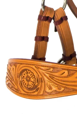 Outlet F.R.A. Freedom Riding Articles Diego bitless bridle Western|Hodelag & Nesereimer