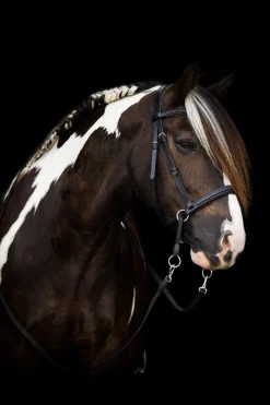 Online F.R.A. Freedom Riding Articles Dietsji bittløst hodelag med tøyler (system 5) Hodelag & Nesereimer