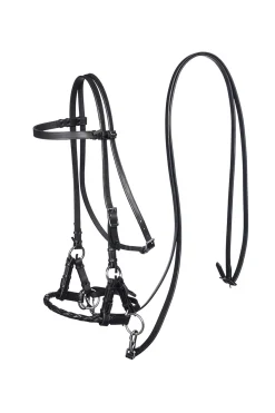 F.R.A. Freedom Riding Articles Pariba sidepull (system 3) vevd nesereim med tøyler Hodelag & Nesereimer