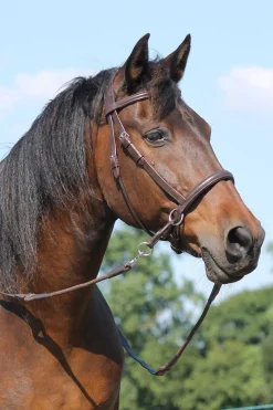 Hot F.R.A. Freedom Riding Articles El Camin bittless bridle (system 5) med myke tøyler Hodelag & Nesereimer