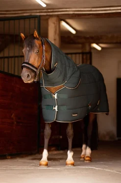 Outlet Hals til Glasgow ponnidekken for stall Hals Til Dekken