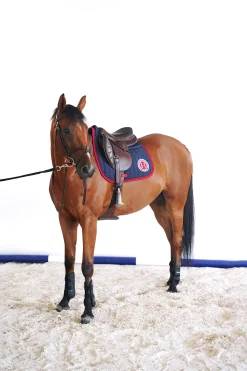 Outlet Safine dressurseterunderlag Dressursjabraker