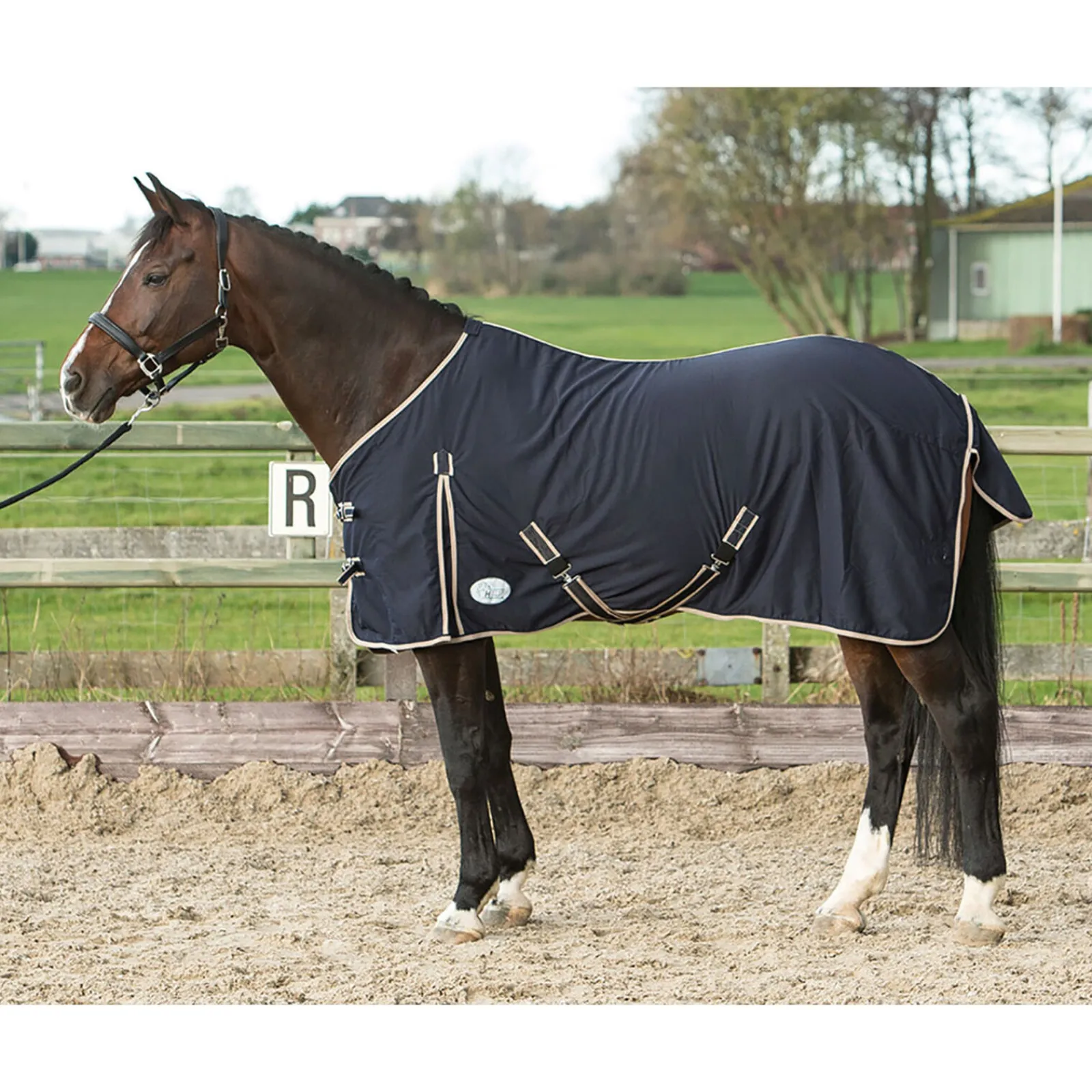 Sale Harry Ulldekken Og Svettedekken