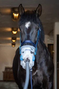 Hot AirOne Ultrasound inhalator med maske, varmblods Tilskudd