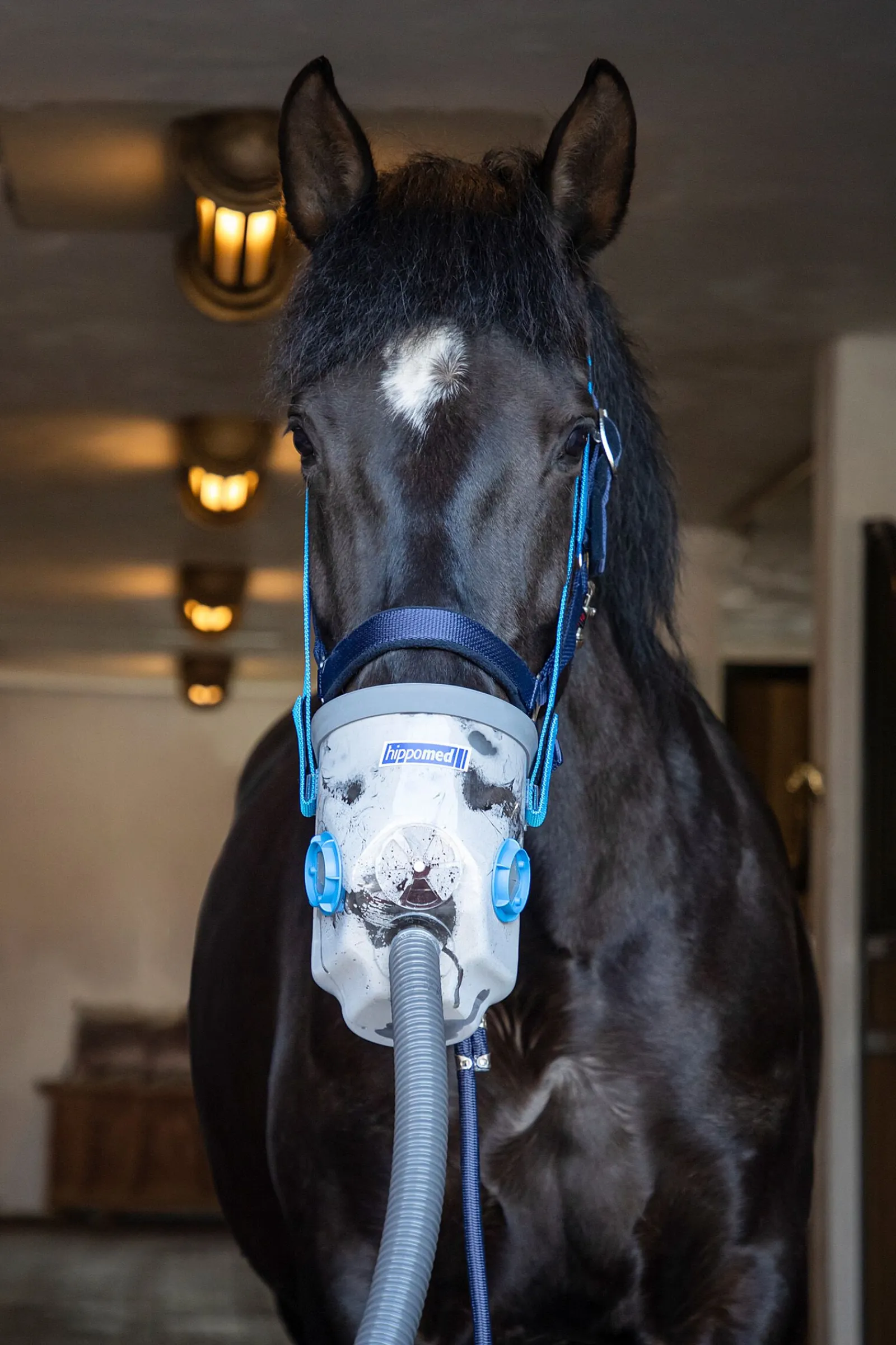 Hot AirOne Ultrasound inhalator med maske, varmblods Tilskudd