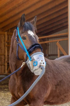 Hot inhaleringsmaske inkludert tilbehør til AirOne, trekkhest Tilskudd