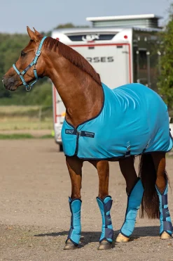 Best Amigo grime Grimer