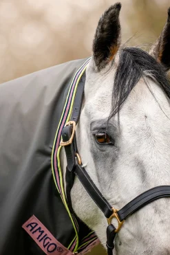 Best Amigo Hero Ripstop Plus utedekken med avtakbar hals, 0g Regndekken