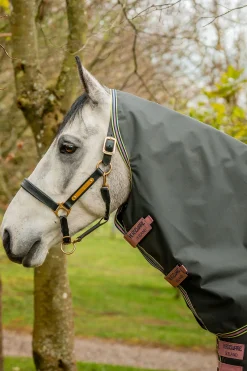 Best Amigo Hero Ripstop Plus utedekken med avtakbar hals, 0g Regndekken