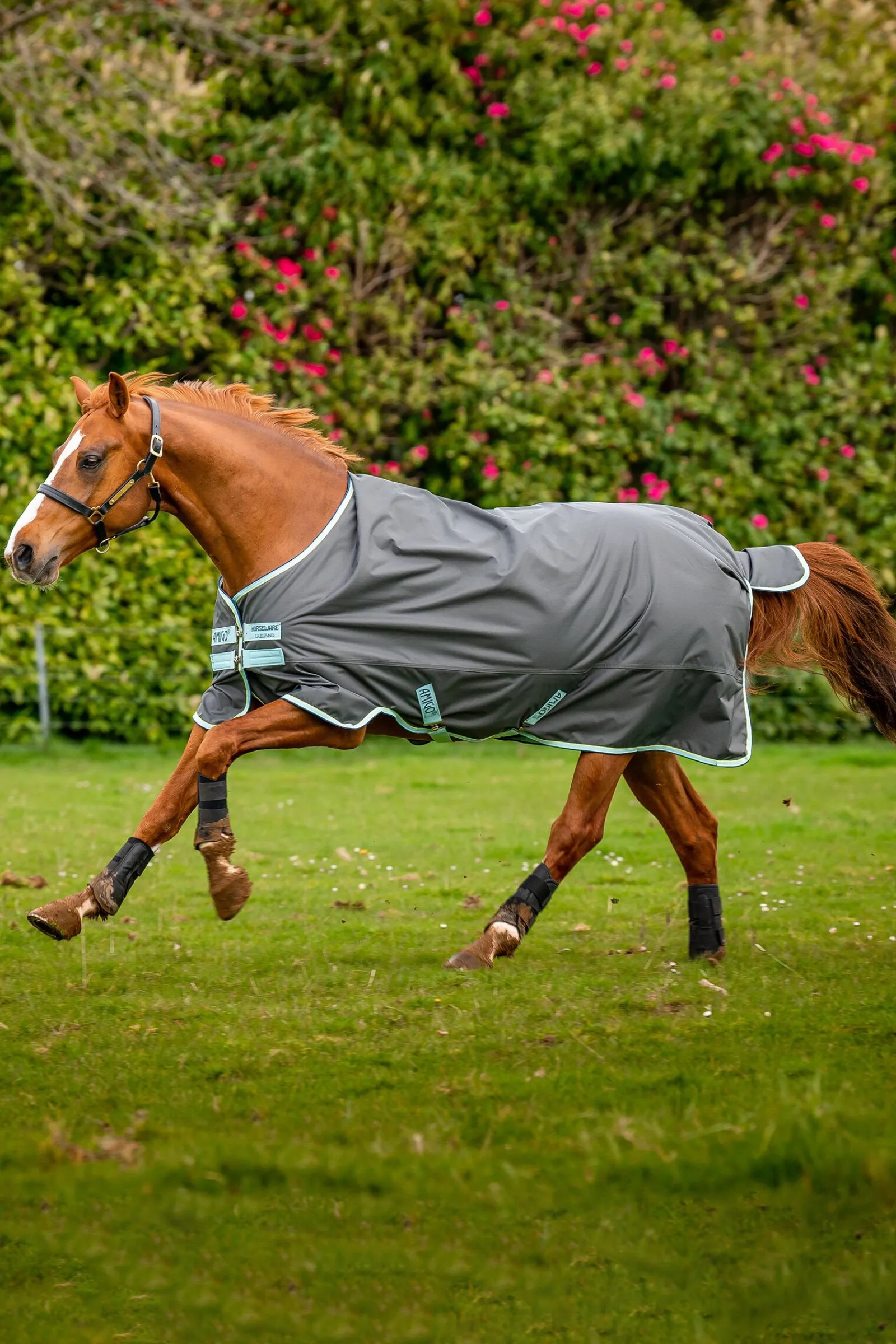 Hot Amigo Hero Ripstop utedekken, 50g Regndekken