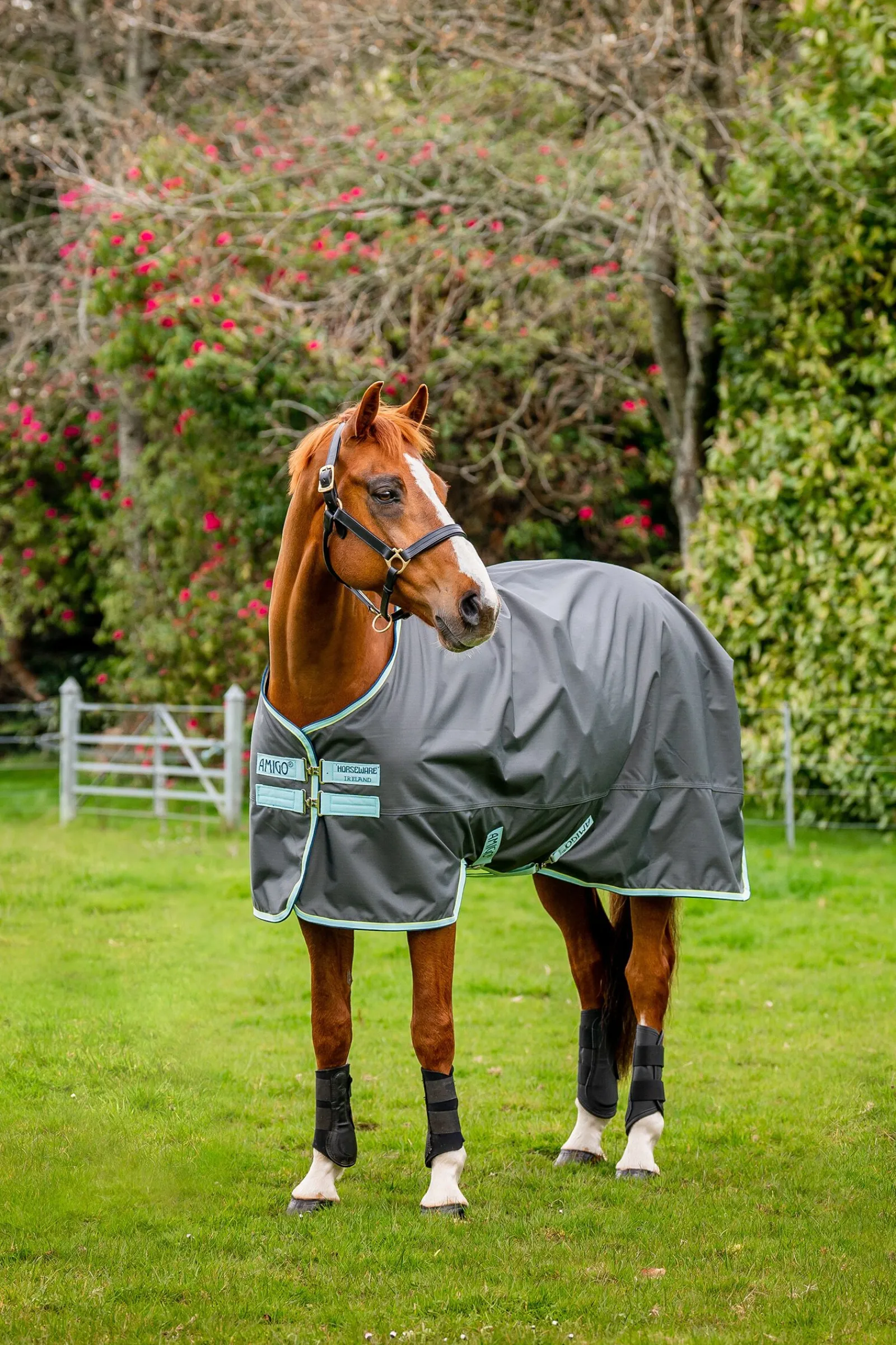 Hot Amigo Hero Ripstop utedekken, 50g Regndekken