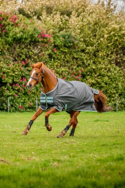 Discount Amigo Hero Ripstop Plus utedekken med avtakbar hals, 200g Overgangsdekken & Vinterdekken