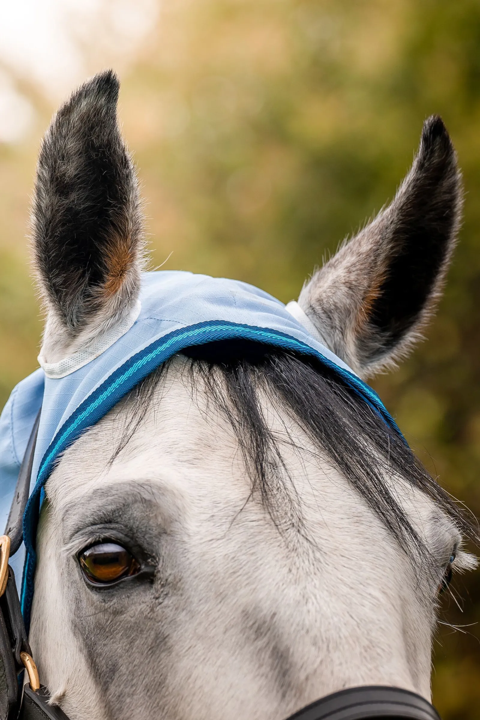 Discount Amigo Ripstop Hoody eksemtrekk, 0g Eksemdekken|Eksemdekken