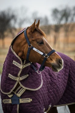 Online Amigo Stable Plus stalldekken med avtakbar halsdel, 200g Stalldekken