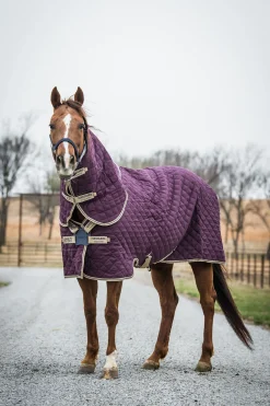 Online Amigo Stable Plus stalldekken med avtakbar halsdel, 200g Stalldekken